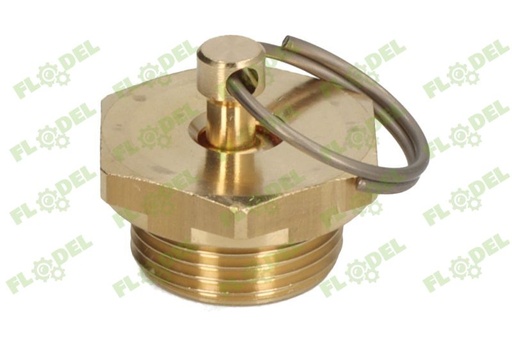 [FLO08891] Supapa evacuare M22