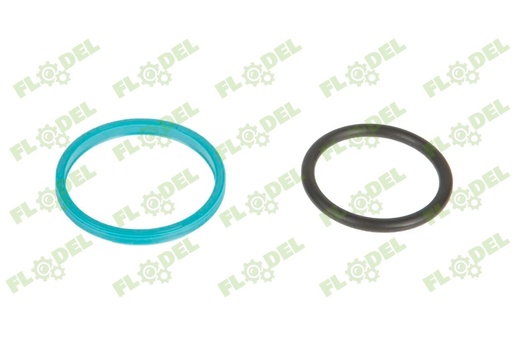 [FLO08968] Garnitura cilindru hidraulic CLAAS 0002160201 Original CLAAS