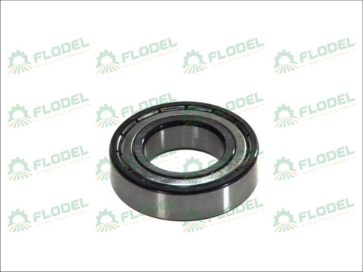 [FLO09007] Rulment 6005 2Z FAG