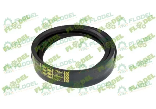 [FLO09173] Curea combina CLAAS 2HB 554086 GATES