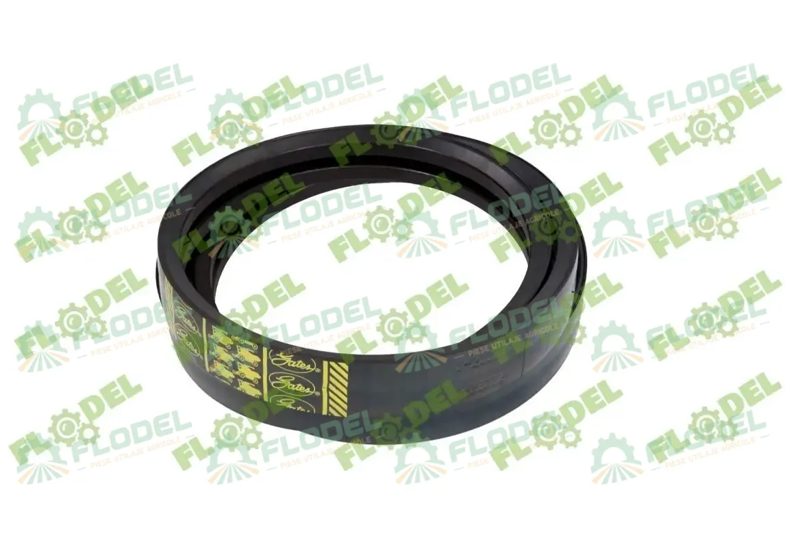 [FLO09173] Curea combina CLAAS 2HB 554086 GATES