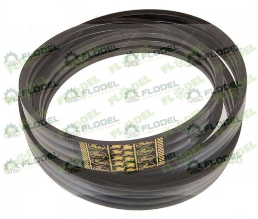 [FLO09185] Curea multipla CLAAS 603354 [4HB] GATES