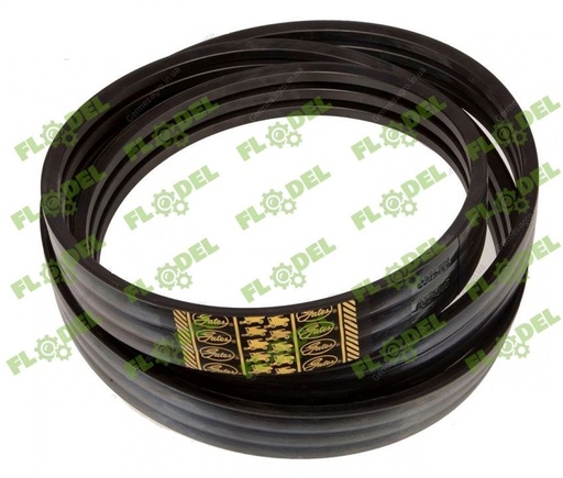 [FLO09185] Curea multipla combina CLAAS 4HB 603354 GATES