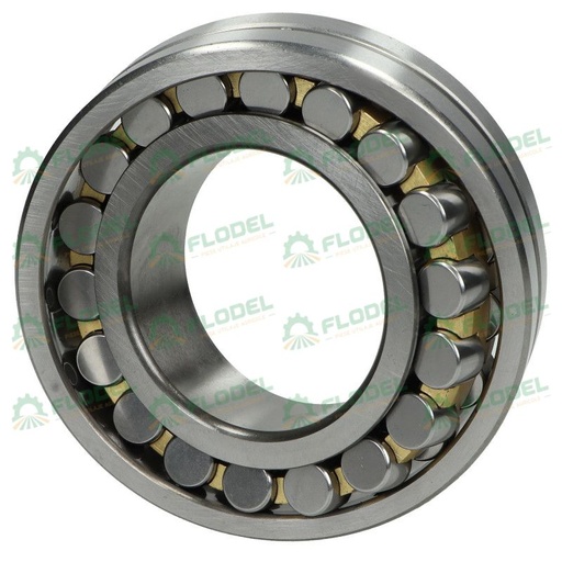 [FLO09259] Rulment FAG 20213 K C3
