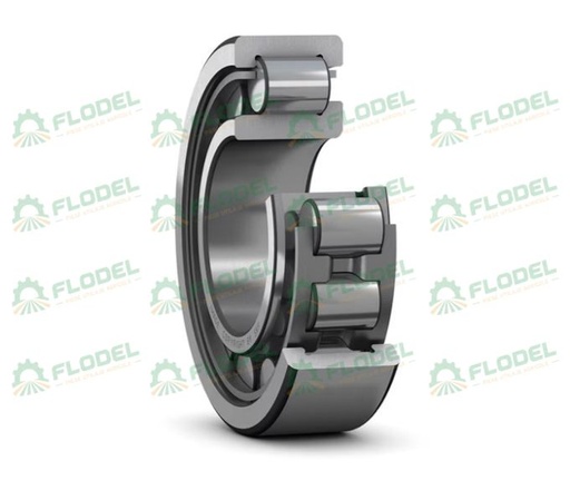 [FLO09270] Rulment SKF NJ209-C3