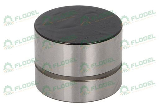 [FLO09483] Supapa culbutor 420 0209 10