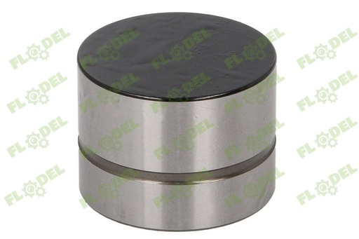 [FLO09483] Supapa culbutor 420 0209 10