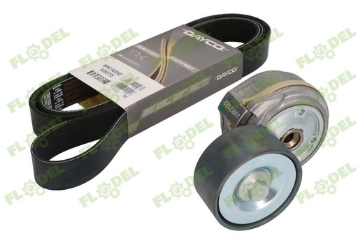 [FLO09636] Set intinzator DAYCO 51958006131