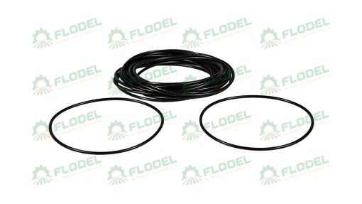 [FLO09647] Inel 14455480 Original CNH
