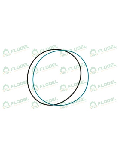 [FLO09654] Inel piston 5172235