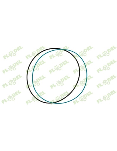 [FLO09654] Inel piston 5172235