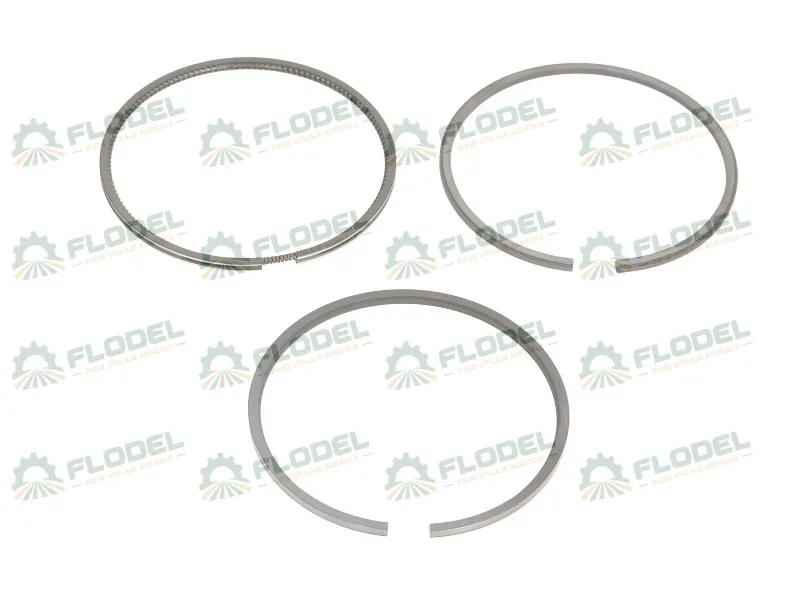 [FLO09771] Segmenti piston motor PERKINS 4181A065 [STANDARD]