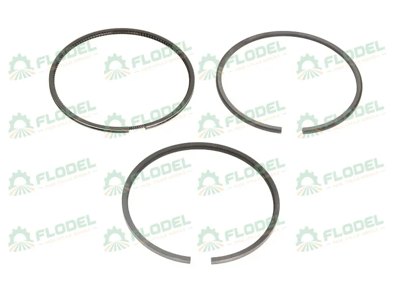 [FLO09771] Segmenti piston motor PERKINS 4181A065 [STANDARD]