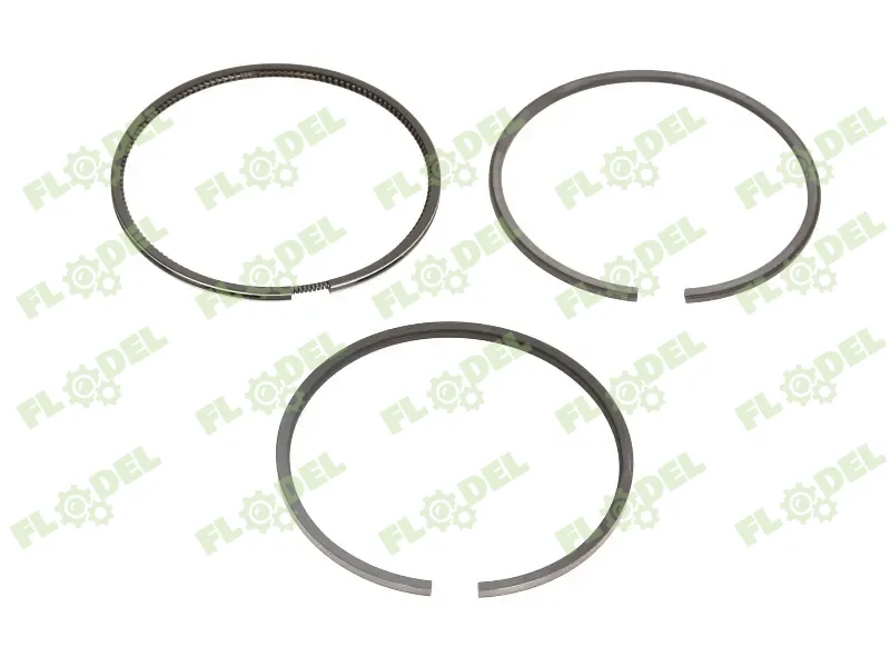 [FLO09771] Segmenti piston motor PERKINS 4181A065 [STANDARD]