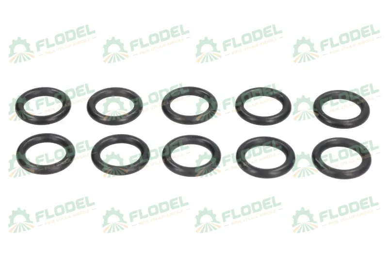 [FLO09820] Oring injector CASE IH 717203R1