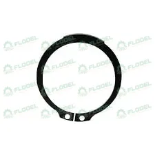 [FLO09927] Siguranta CAPELLO 02.2018.00