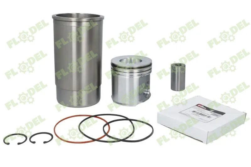 [FLO10175] Set piston motor JOHN DEERE DZ110417 [FP DIESEL]
