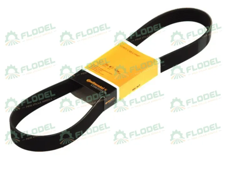 [FLO10333] Curea caneluri 8PK2604 [CONTINENTAL]
