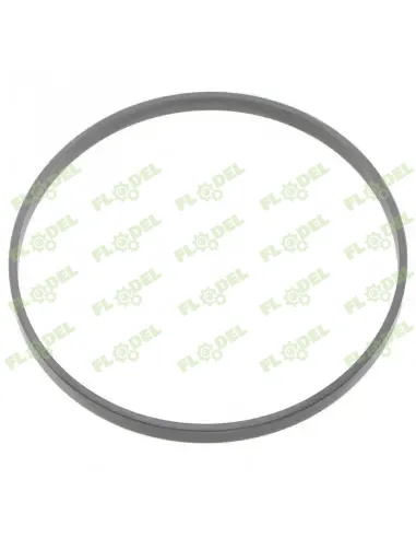 [FLO10341] Garnitura piston cilindru hidraulic CASE IH A186826