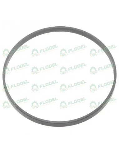 [FLO10341] Garnitura piston cilindru hidraulic CASE IH A186826