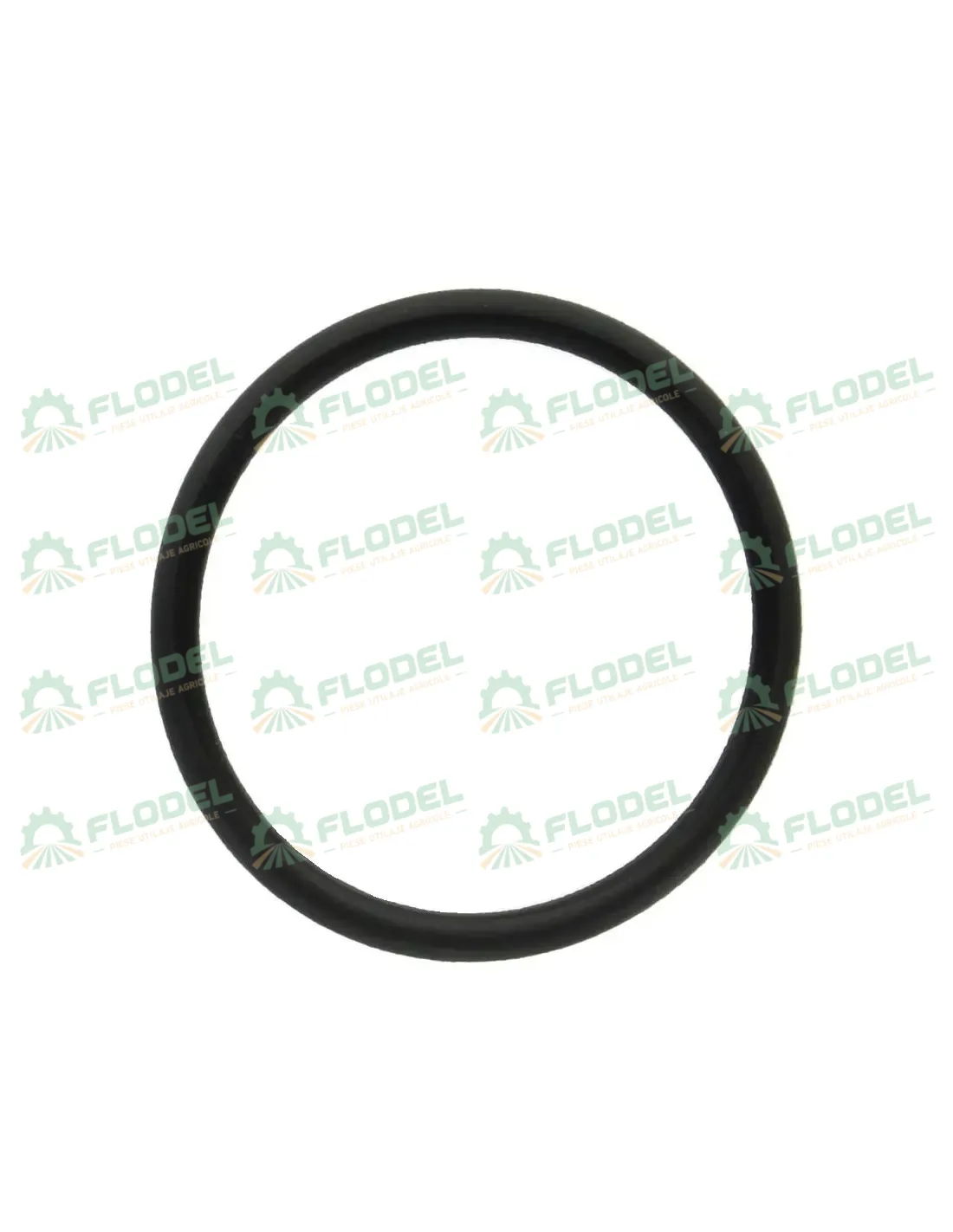 [FLO10429] Oring X548887266000