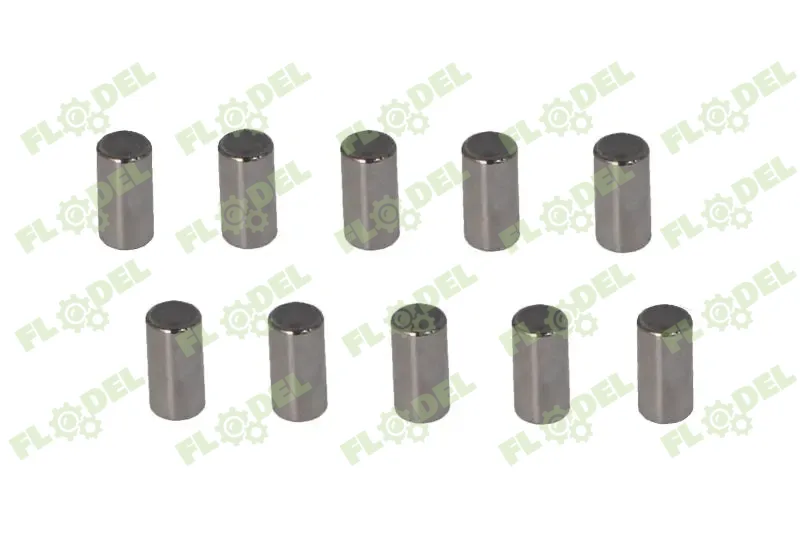 [FLO10438] Kit rola 6000103365 [10 buc]