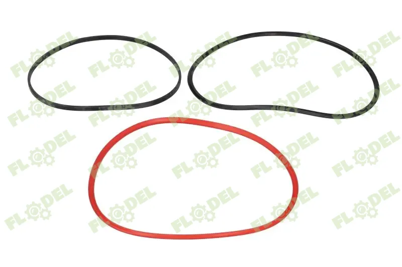 [FLO10442] Set inele camasa motor JOHN DEERE AR98850 [VAPORMATIC]