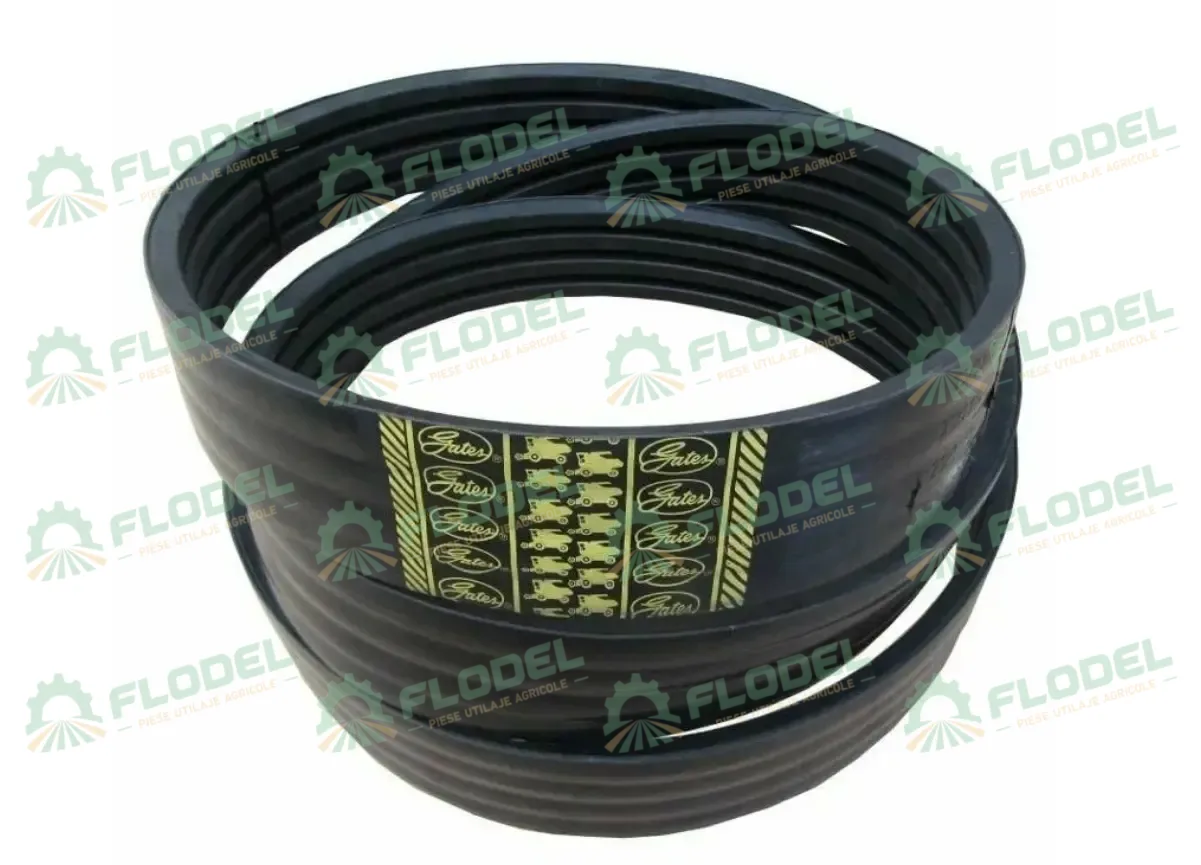 [FLO10474] Curea combina CLAAS 692150 [3HB] GATES