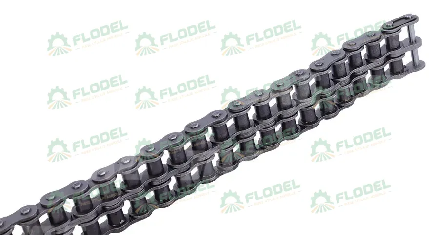 [FLO10494] Lant dublu CLAAS 603132