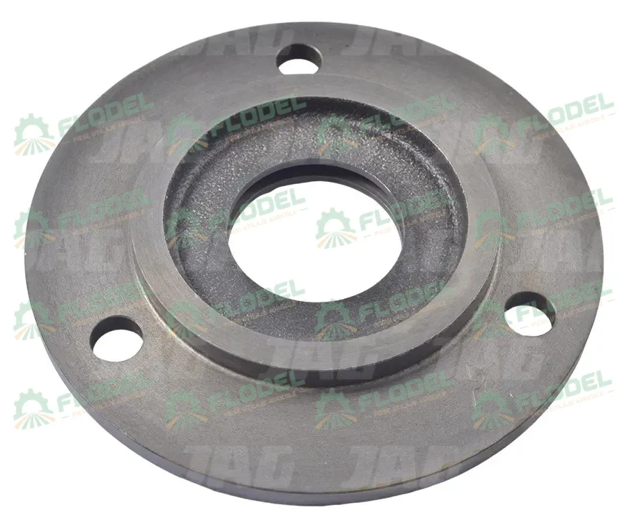 [FLO10532] Flansa accelerator CLAAS 646554