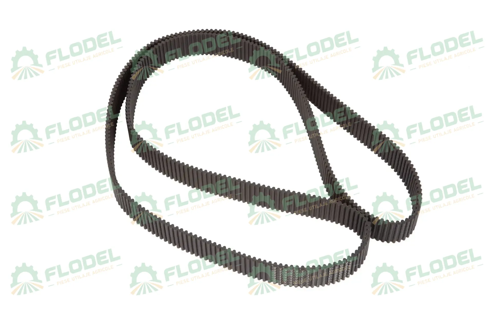 [FLO10594] Curea imprastietor pleava CLAAS LEXION 539443 GATES