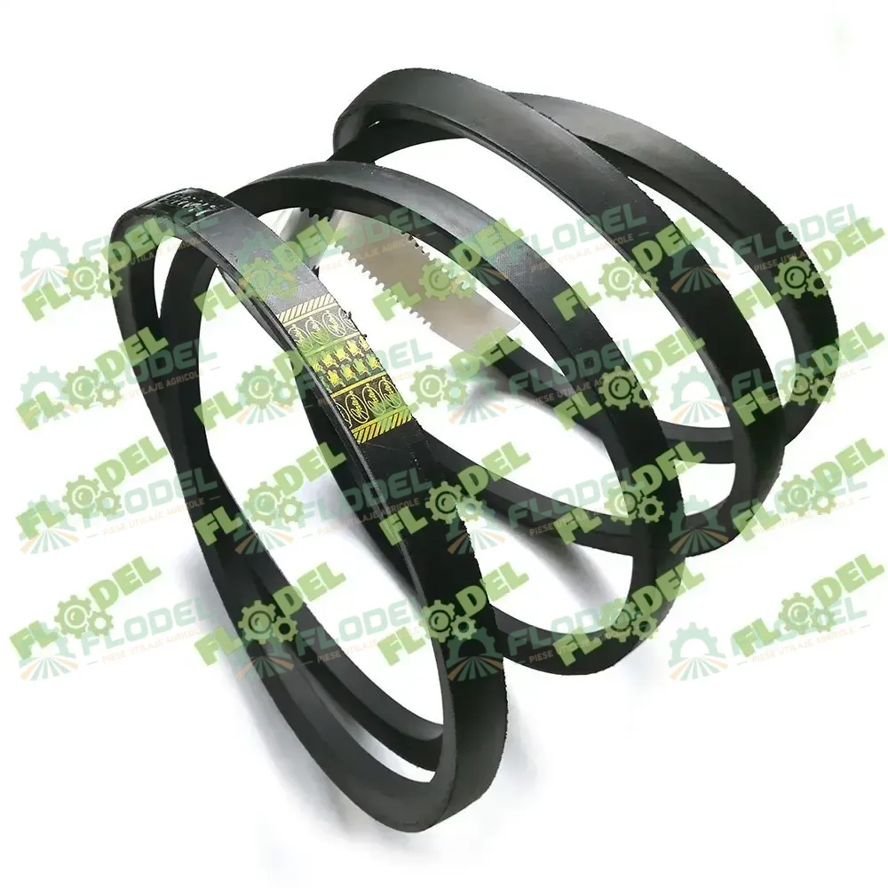 [FLO10596] Curea combina CLAAS 724141 GATES
