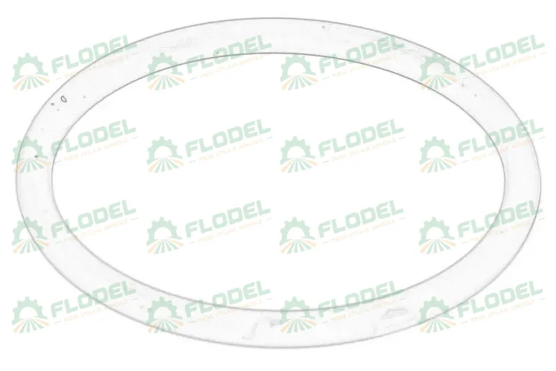[FLO11050] Inel pompa R116031 Original JOHN DEERE 